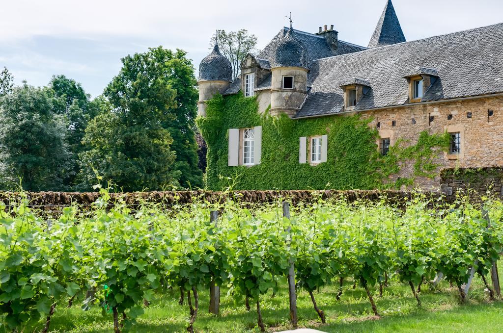 Chateau De Labro - Teritoria Onet-le-Chateau ภายนอก รูปภาพ